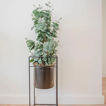 Apartment Liiiving In - Design *